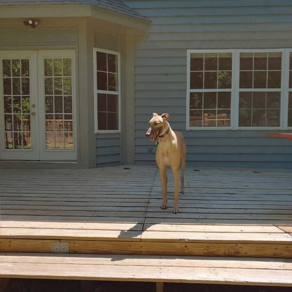 Happy Poshing! - Picture 11 of 13